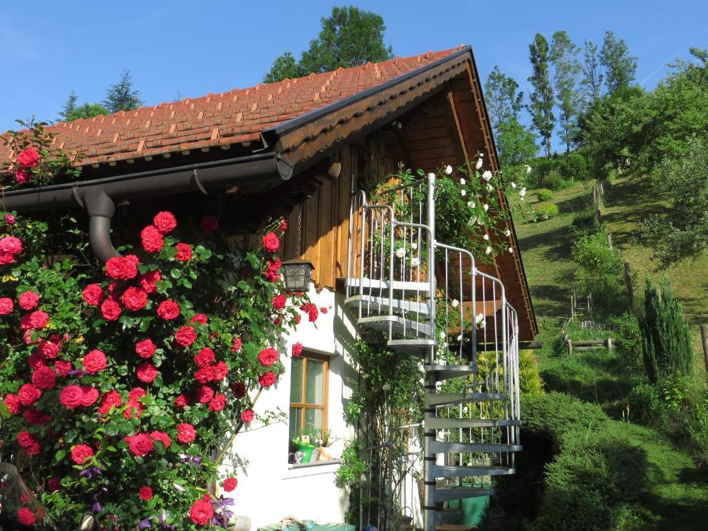 Haus Loidl Hotel ซังคท์กัลเลิน ภายนอก รูปภาพ